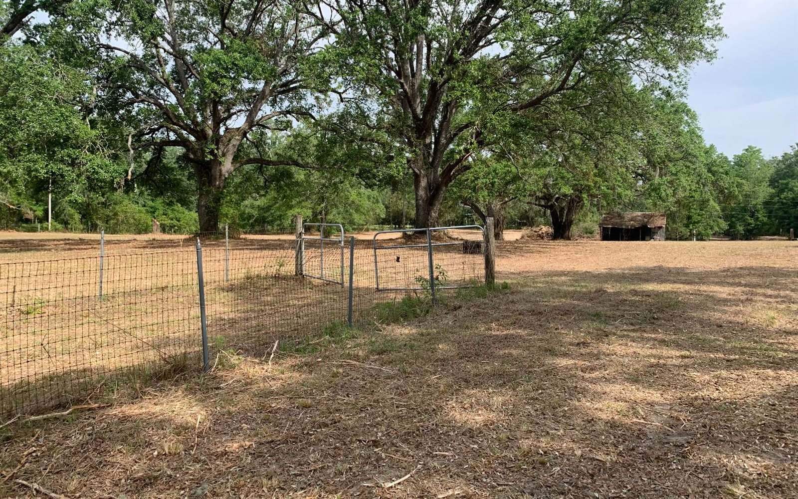 Tbd Cr 252, Live Oak, FL 32060