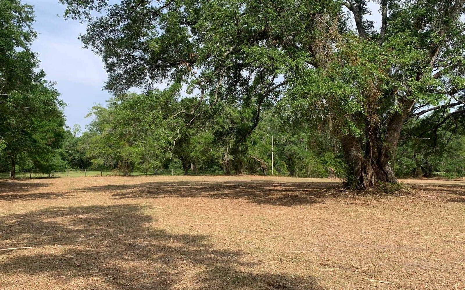 Tbd Cr 252, Live Oak, FL 32060