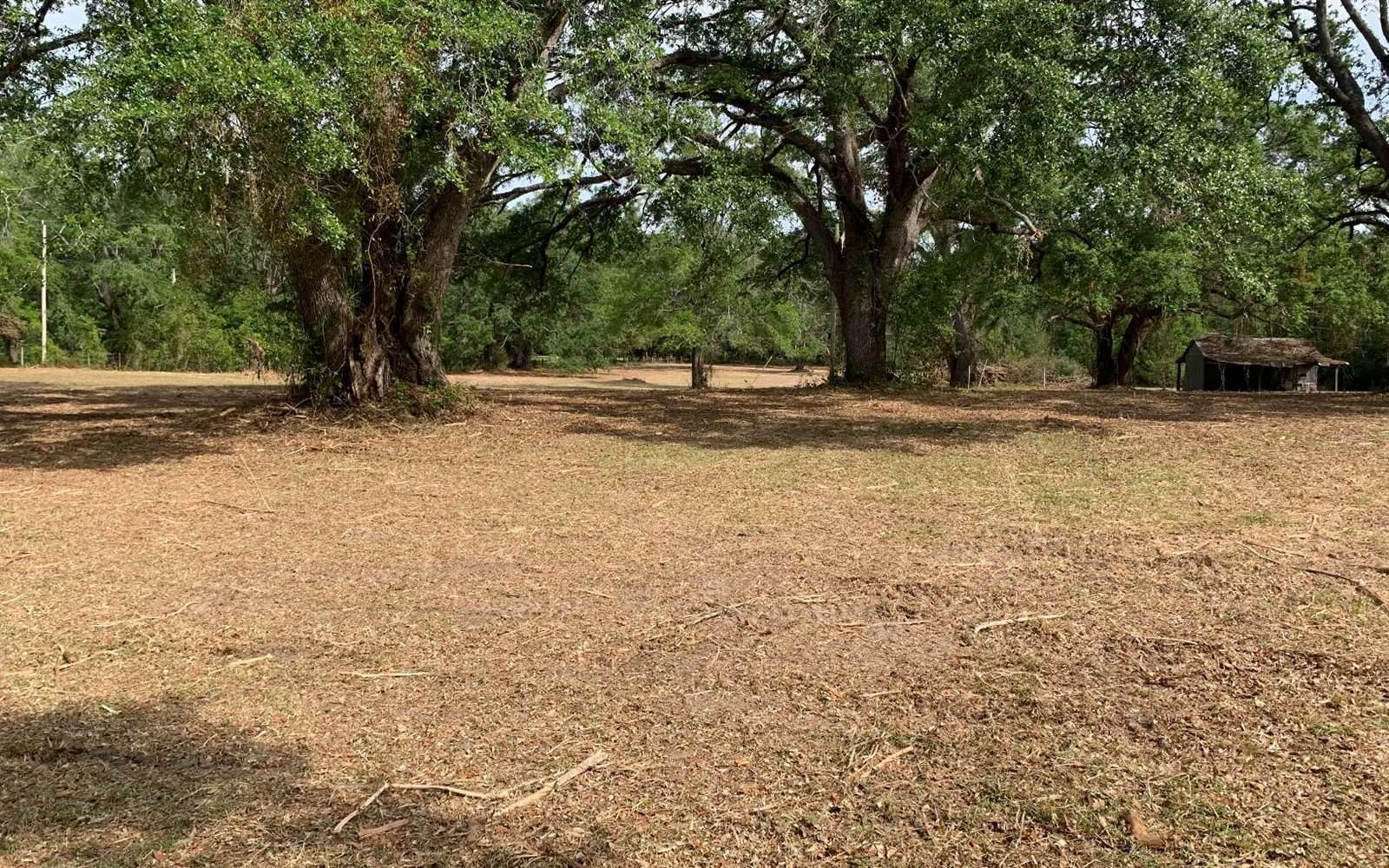 Tbd Cr 252, Live Oak, FL 32060