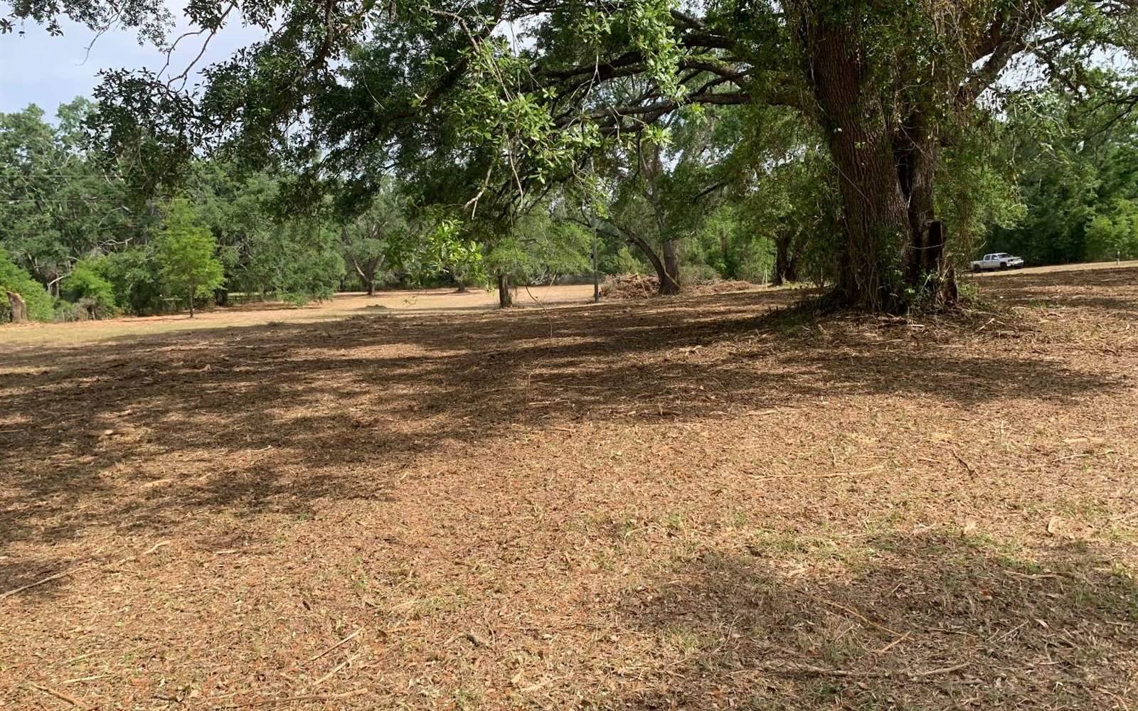 Tbd Cr 252, Live Oak, FL 32060