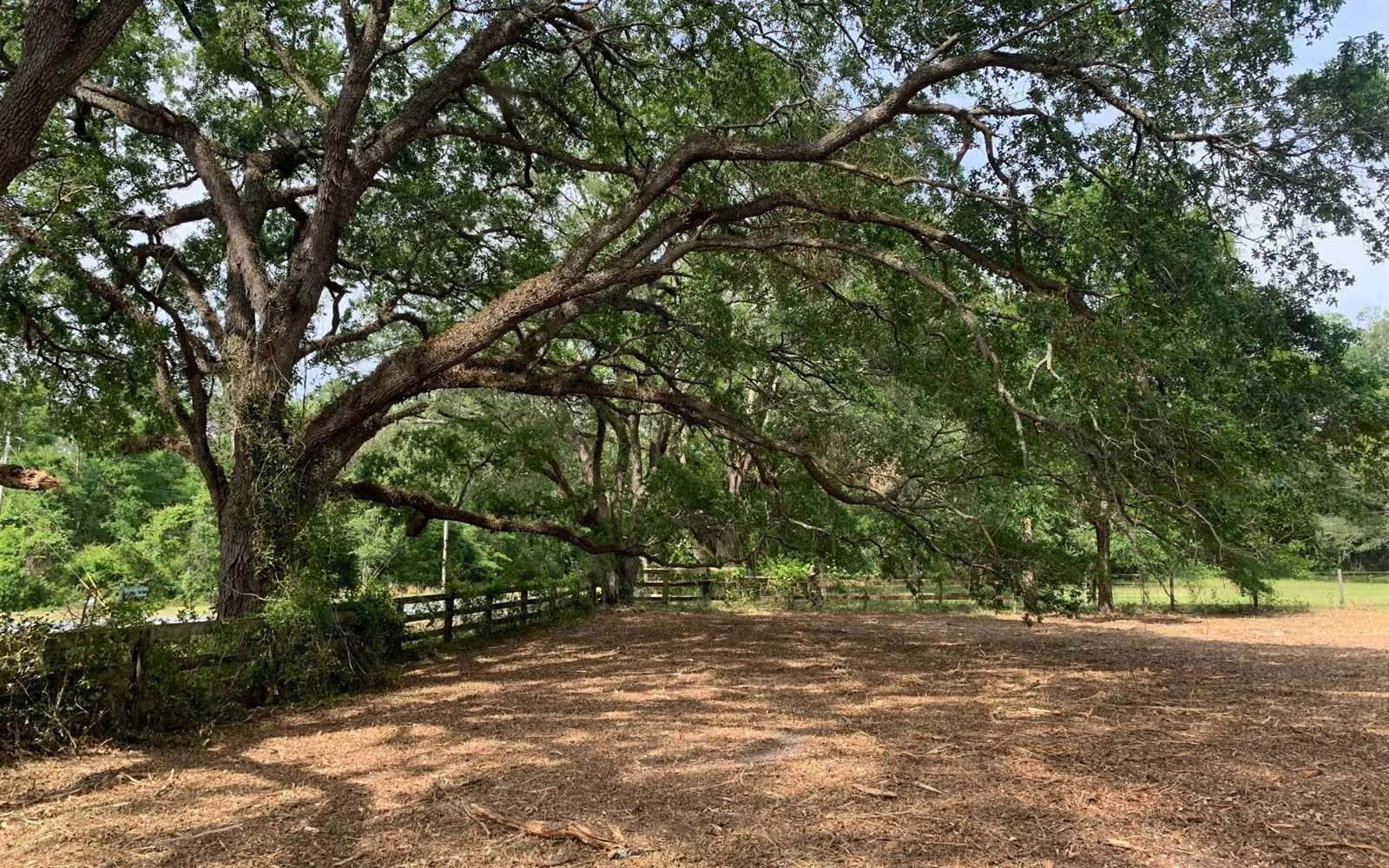 Tbd Cr 252, Live Oak, FL 32060