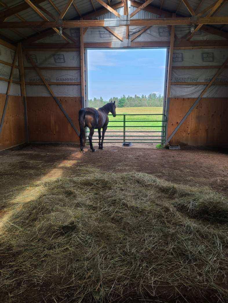 92620 Palon Road, Sturgeon Lake, MN 55783