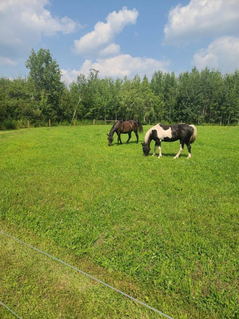 92620 Palon Road, Sturgeon Lake, MN 55783