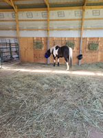 92620 Palon Road, Sturgeon Lake, MN 55783