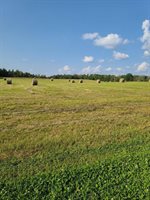 92620 Palon Road, Sturgeon Lake, MN 55783