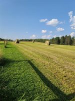 92620 Palon Road, Sturgeon Lake, MN 55783