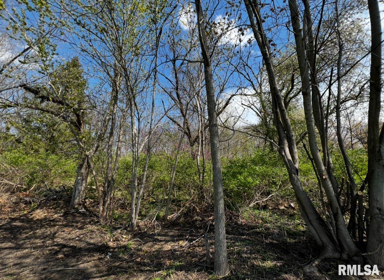 LOT 201 James Street, Port Byron, IL 61256