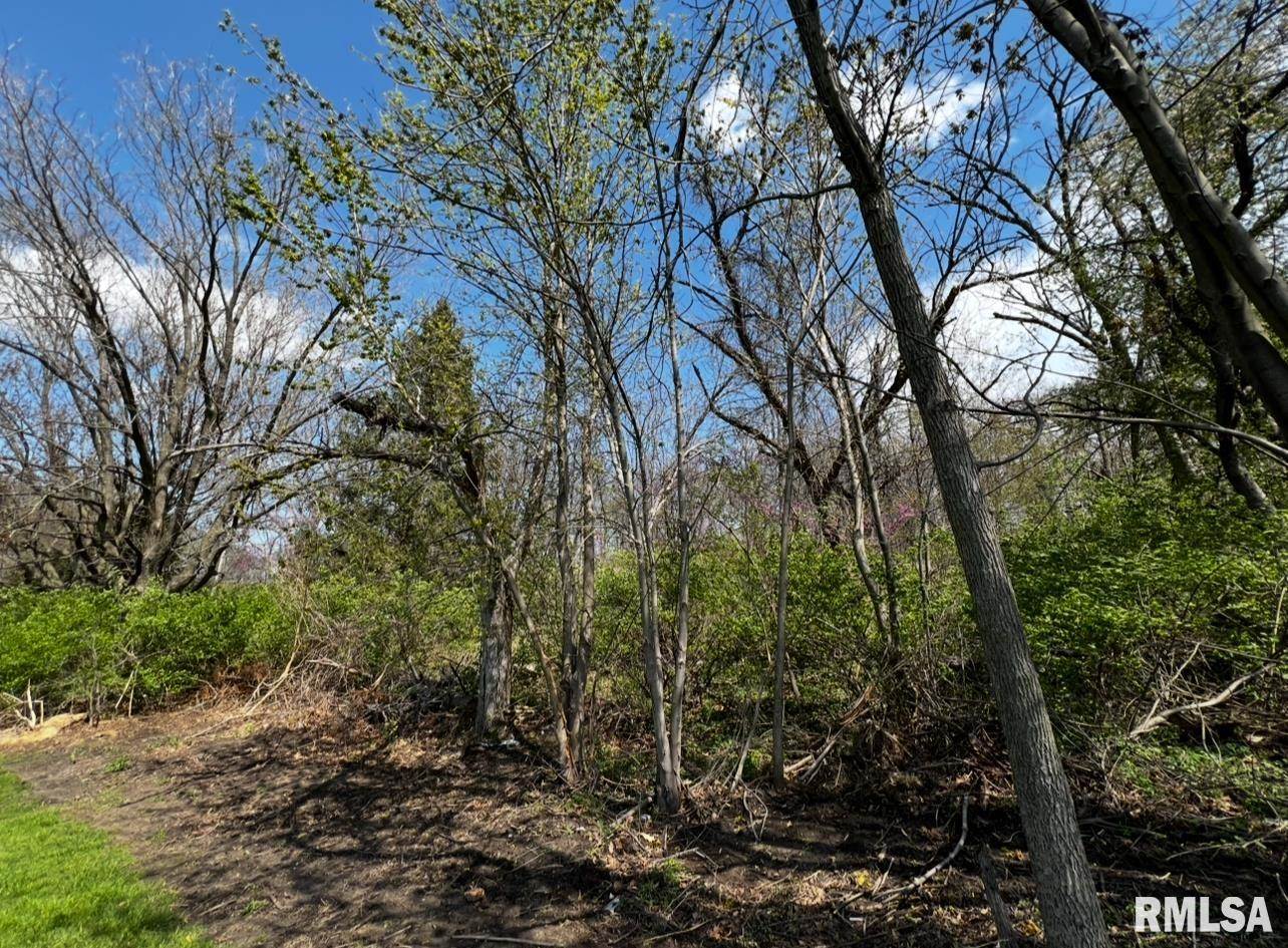 LOT 201 James Street, Port Byron, IL 61256