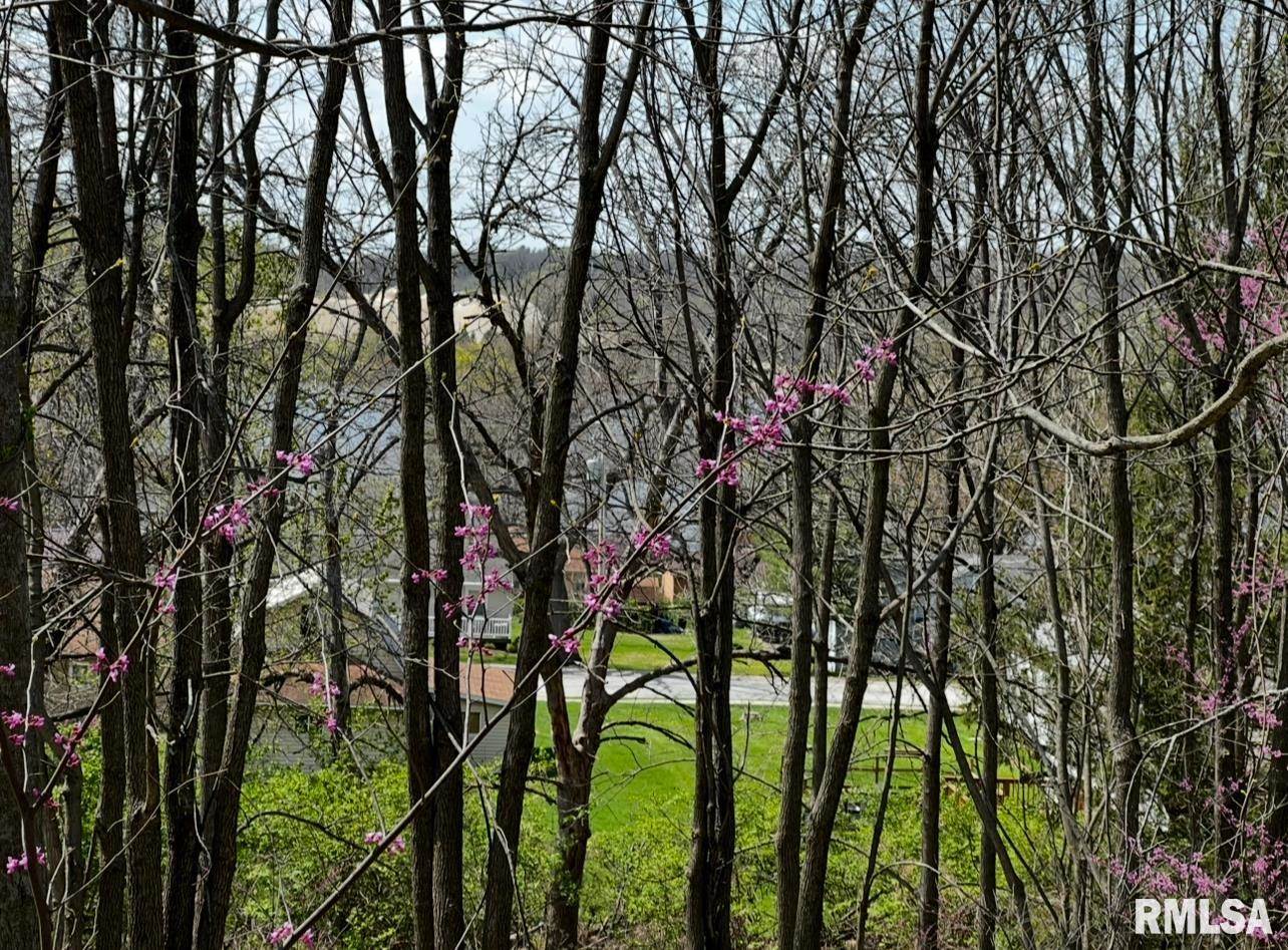 LOT 201 James Street, Port Byron, IL 61256