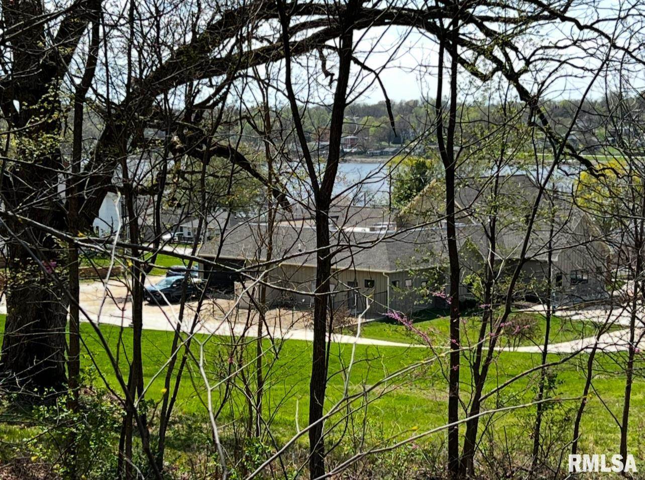 LOT 201 James Street, Port Byron, IL 61256