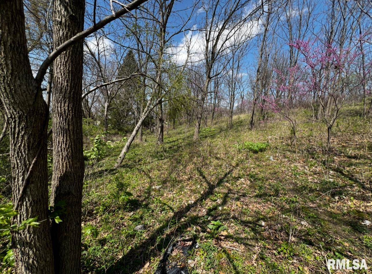 LOT 201 James Street, Port Byron, IL 61256