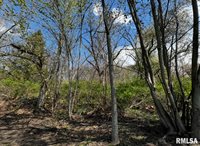 LOT 201 James Street, Port Byron, IL 61256