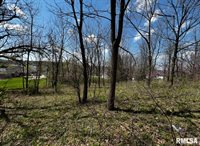 LOT 201 James Street, Port Byron, IL 61256
