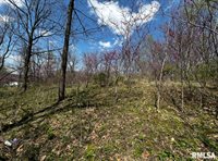 LOT 201 James Street, Port Byron, IL 61256