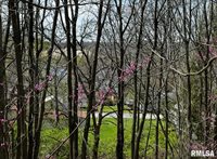 LOT 201 James Street, Port Byron, IL 61256