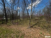 LOT 201 James Street, Port Byron, IL 61256