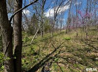 LOT 201 James Street, Port Byron, IL 61256