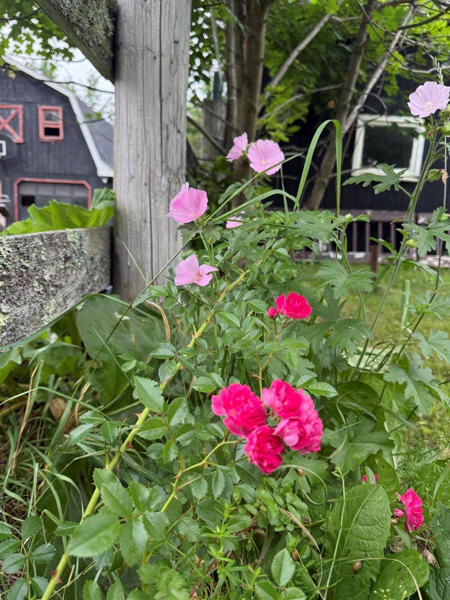 6 Ridge Road, Corinth, ME 04427