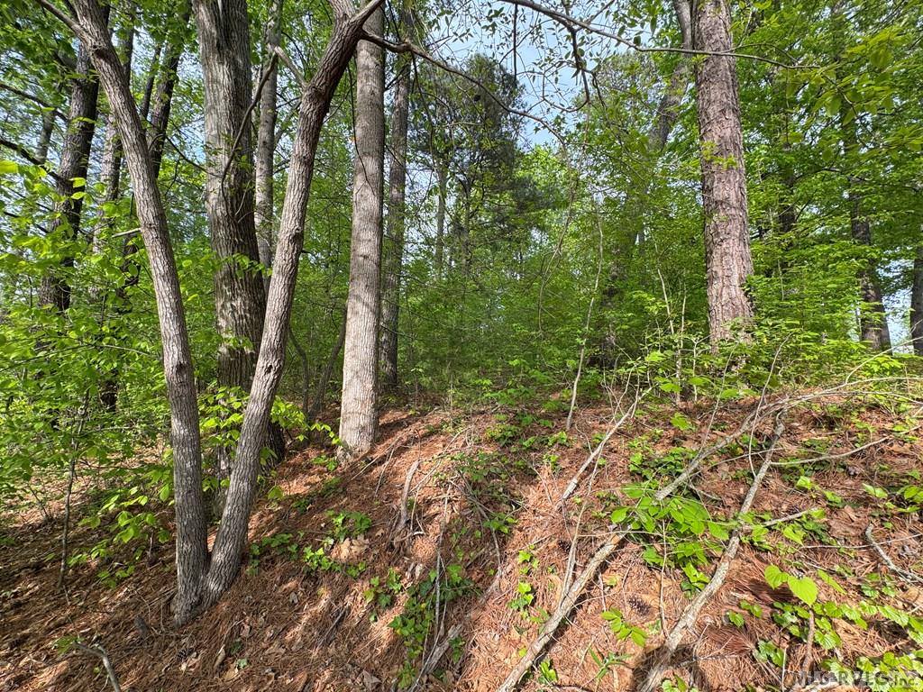 Lot 8 Canoe Creek Drive, Gaston, NC 27870