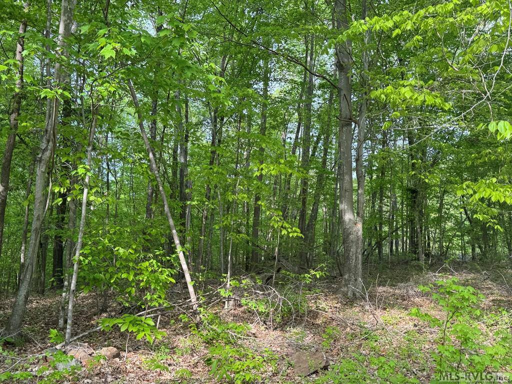 Lot 8 Canoe Creek Drive, Gaston, NC 27870