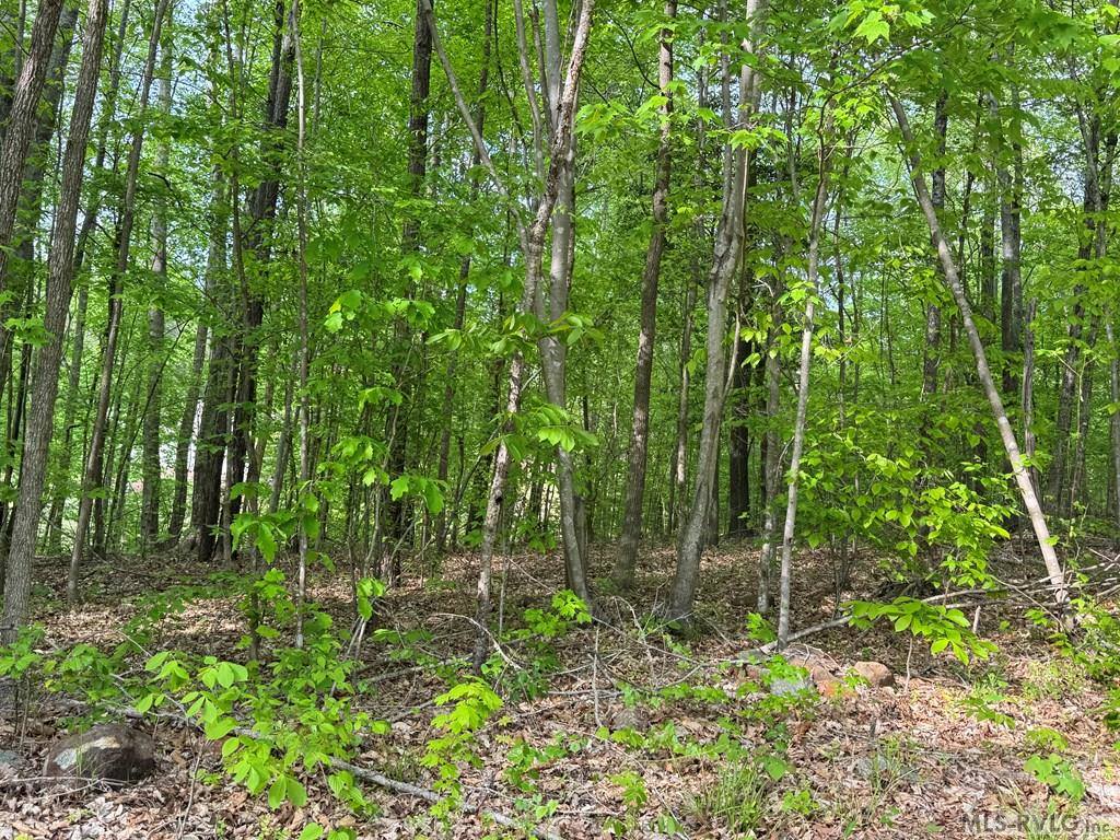 Lot 8 Canoe Creek Drive, Gaston, NC 27870