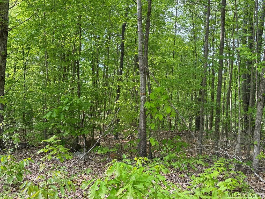 Lot 8 Canoe Creek Drive, Gaston, NC 27870