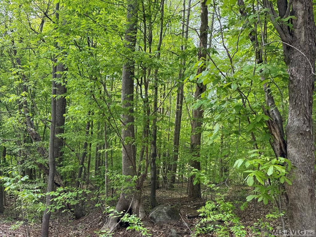 Lot 8 Canoe Creek Drive, Gaston, NC 27870