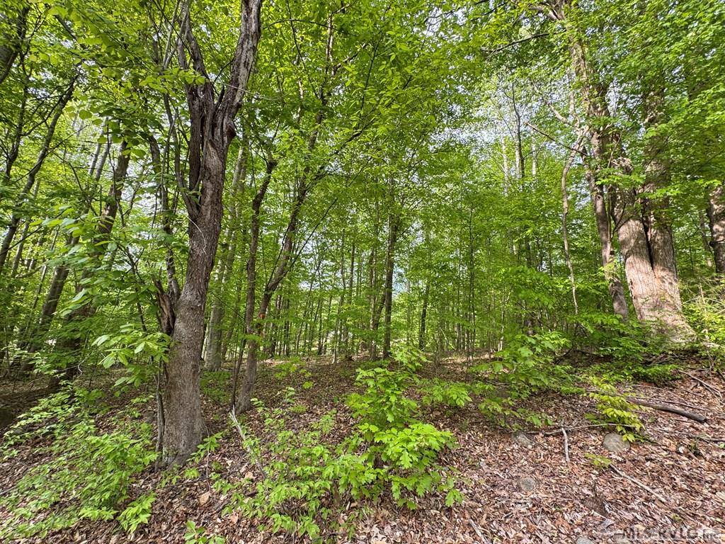 Lot 8 Canoe Creek Drive, Gaston, NC 27870