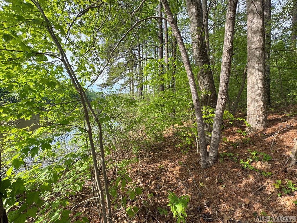 Lot 8 Canoe Creek Drive, Gaston, NC 27870