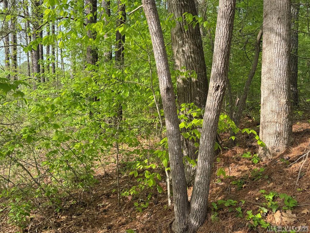 Lot 8 Canoe Creek Drive, Gaston, NC 27870