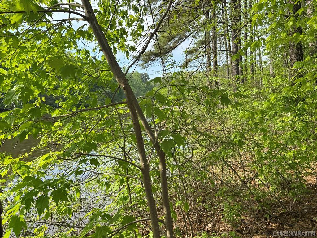 Lot 8 Canoe Creek Drive, Gaston, NC 27870