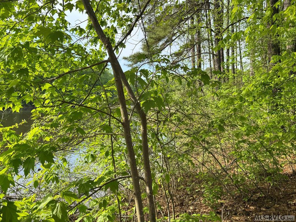 Lot 8 Canoe Creek Drive, Gaston, NC 27870