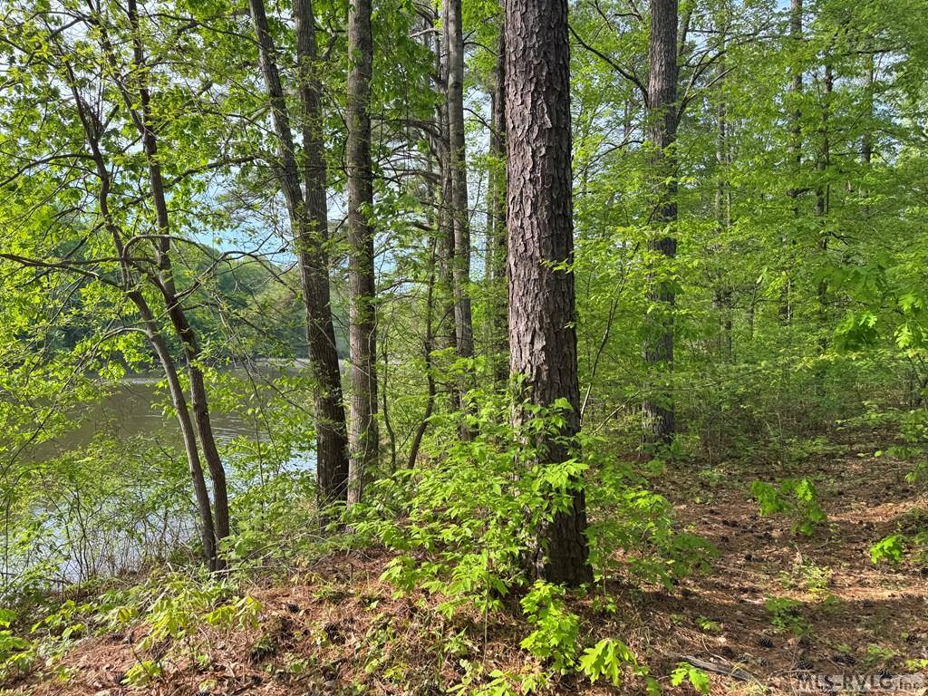 Lot 8 Canoe Creek Drive, Gaston, NC 27870