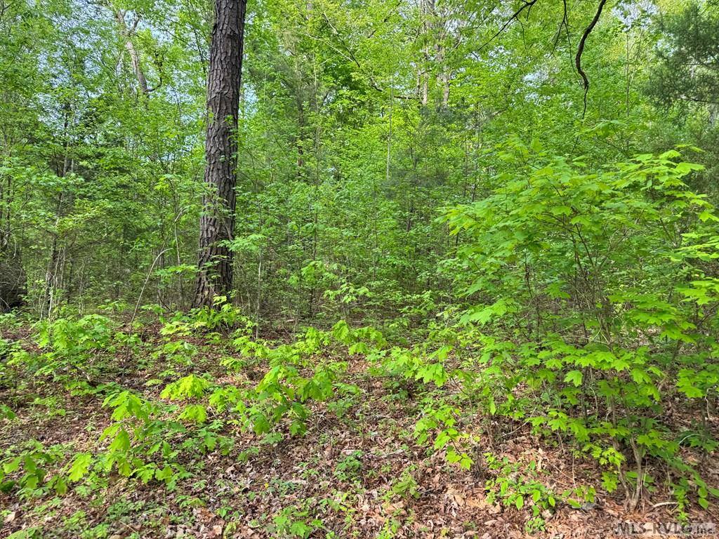 Lot 8 Canoe Creek Drive, Gaston, NC 27870