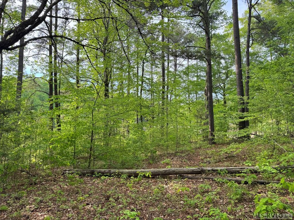 Lot 8 Canoe Creek Drive, Gaston, NC 27870