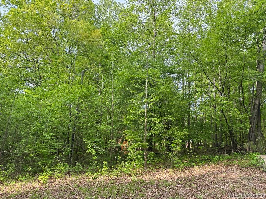 Lot 8 Canoe Creek Drive, Gaston, NC 27870
