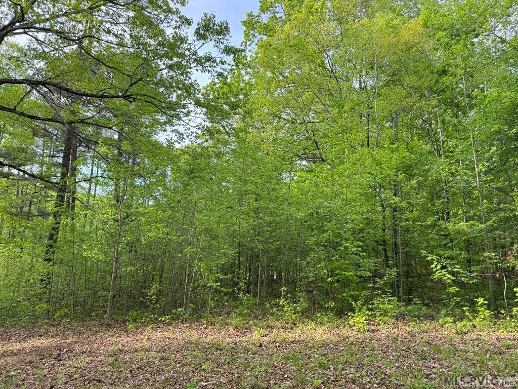 Lot 8 Canoe Creek Drive, Gaston, NC 27870