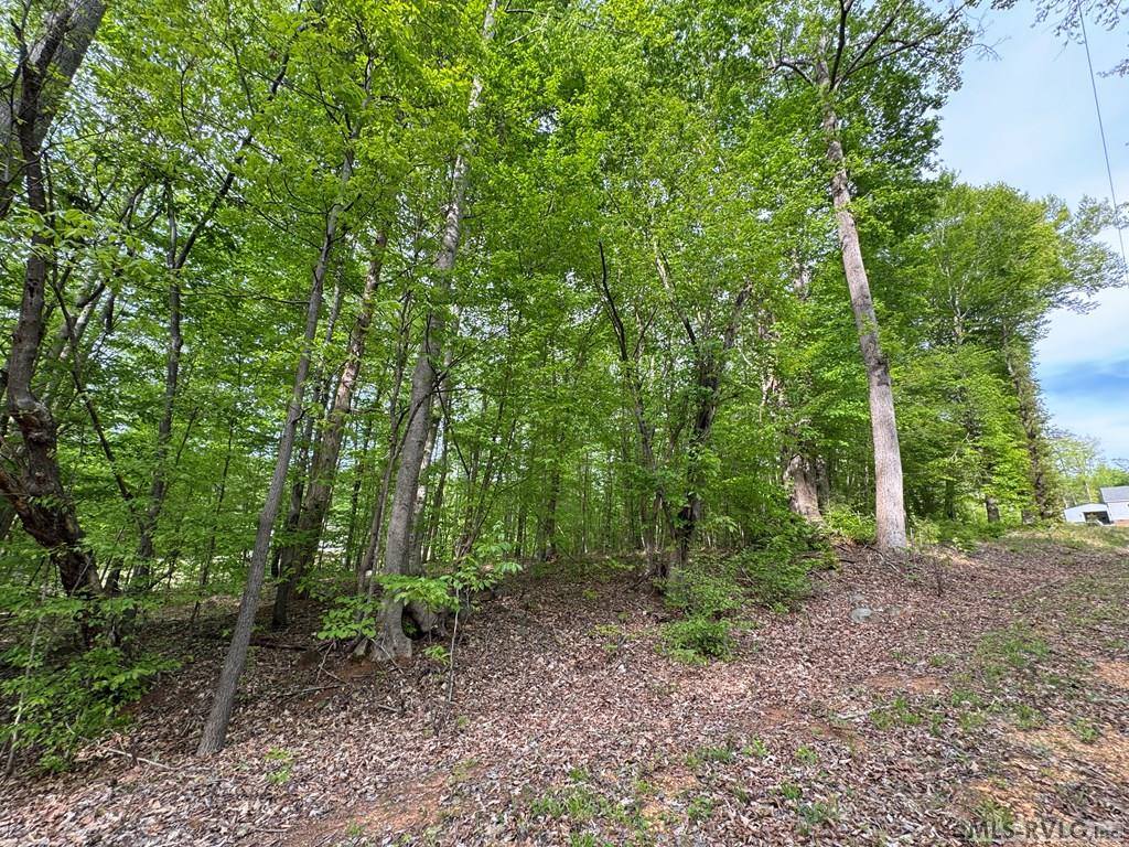 Lot 8 Canoe Creek Drive, Gaston, NC 27870
