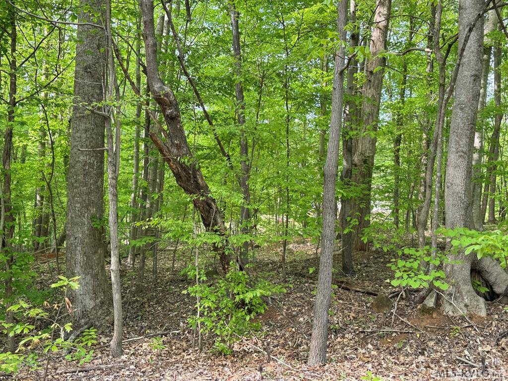 Lot 8 Canoe Creek Drive, Gaston, NC 27870