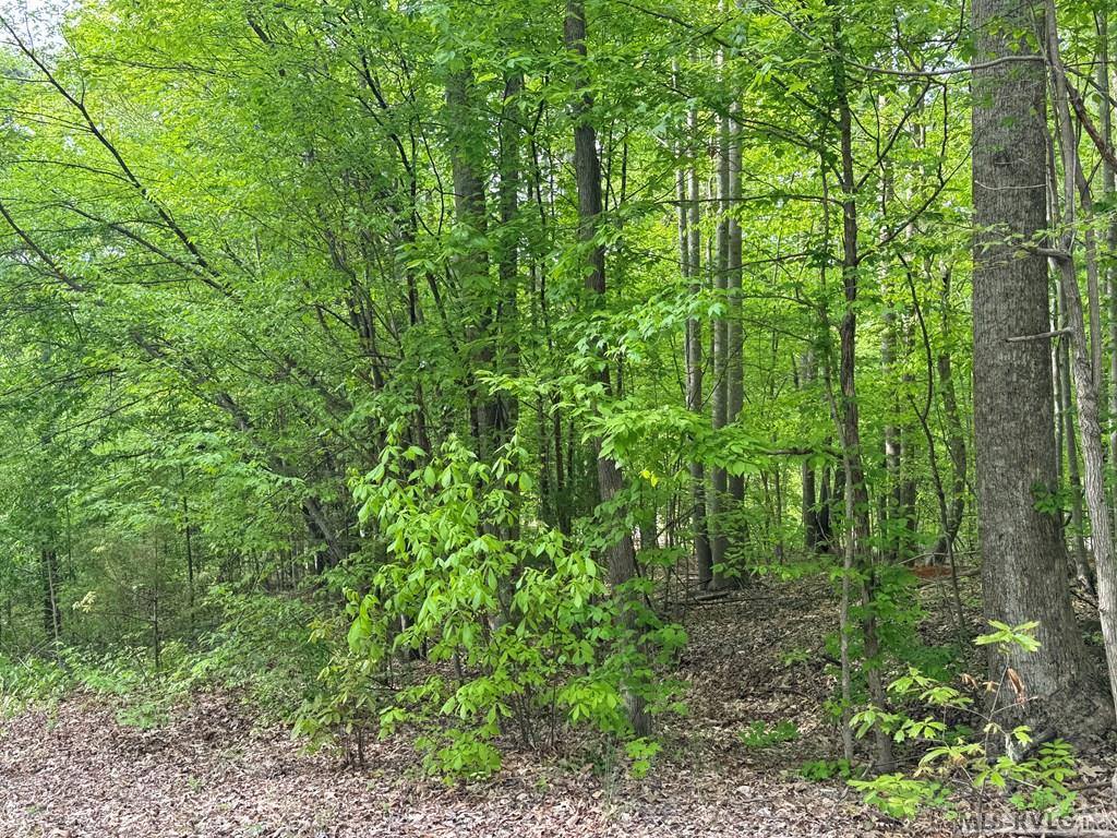 Lot 8 Canoe Creek Drive, Gaston, NC 27870