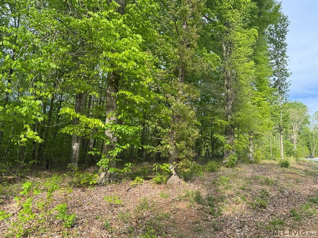 Lot 8 Canoe Creek Drive, Gaston, NC 27870