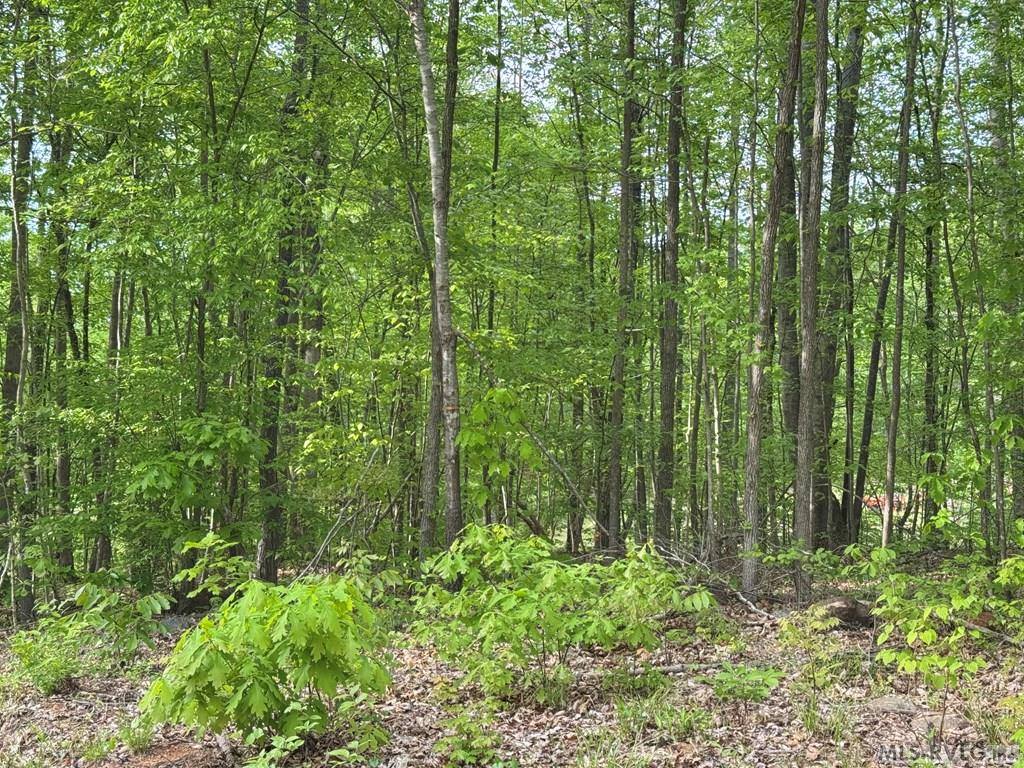 Lot 8 Canoe Creek Drive, Gaston, NC 27870