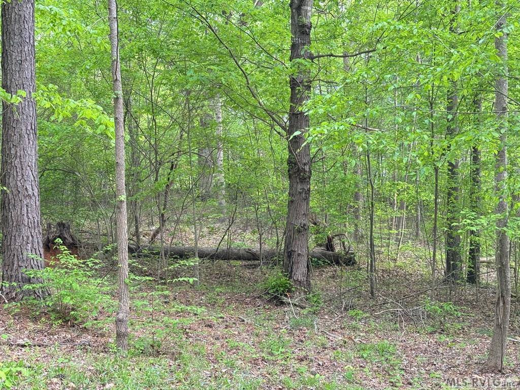 Lot 8 Canoe Creek Drive, Gaston, NC 27870