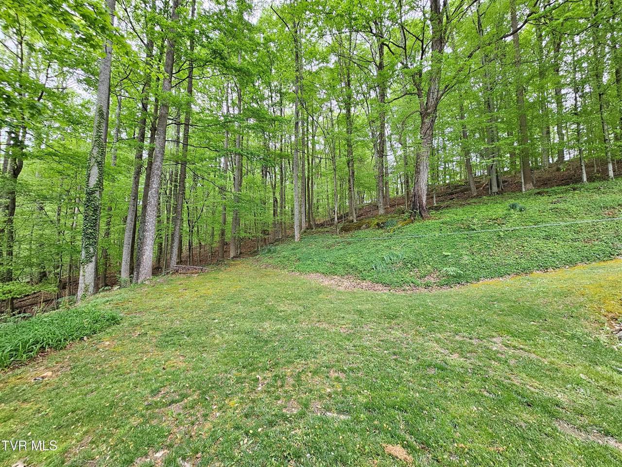 10 Tallapoosa Road, Johnson City, TN 37604