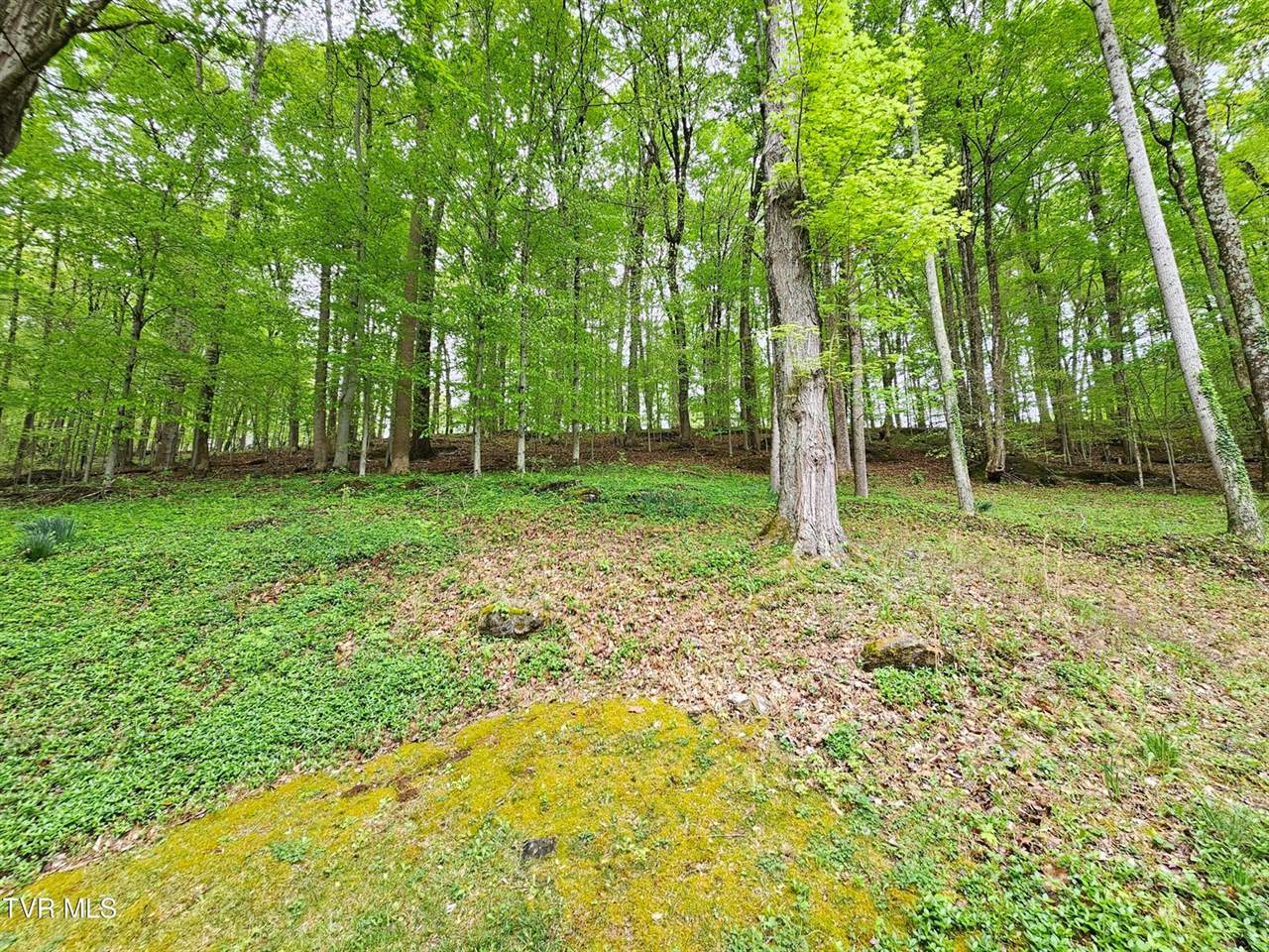 10 Tallapoosa Road, Johnson City, TN 37604