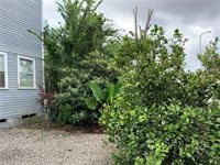 1614 Governor Nicholls Street, New Orleans, LA 70116