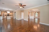 3137 Driftwood Point, Gilbert, SC 29054