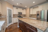 3137 Driftwood Point, Gilbert, SC 29054