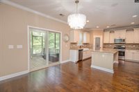 3137 Driftwood Point, Gilbert, SC 29054