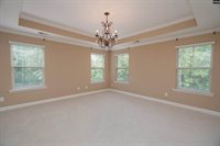 3137 Driftwood Point, Gilbert, SC 29054